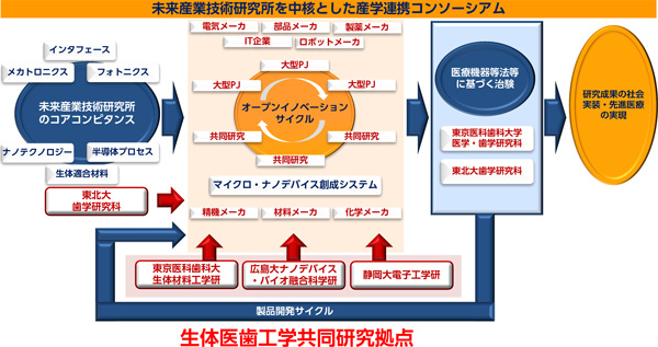 biomedical_system_ja.jpg