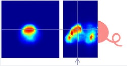 research_obi2016_02.jpg