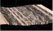 research_kikuchi_1.png