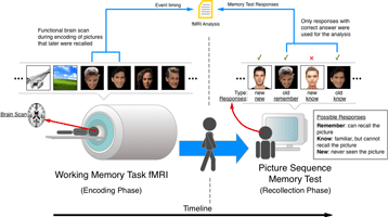 research_supat_2021_1.png