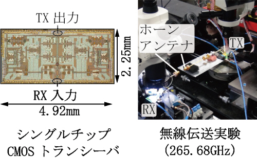 Lee.ネットソリューションズ